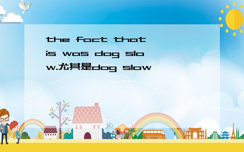 the fact that is was dog slow.尤其是dog slow