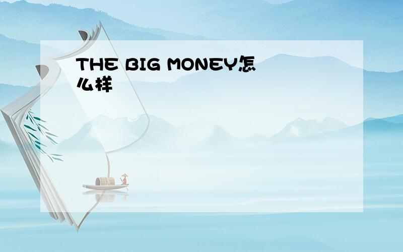 THE BIG MONEY怎么样