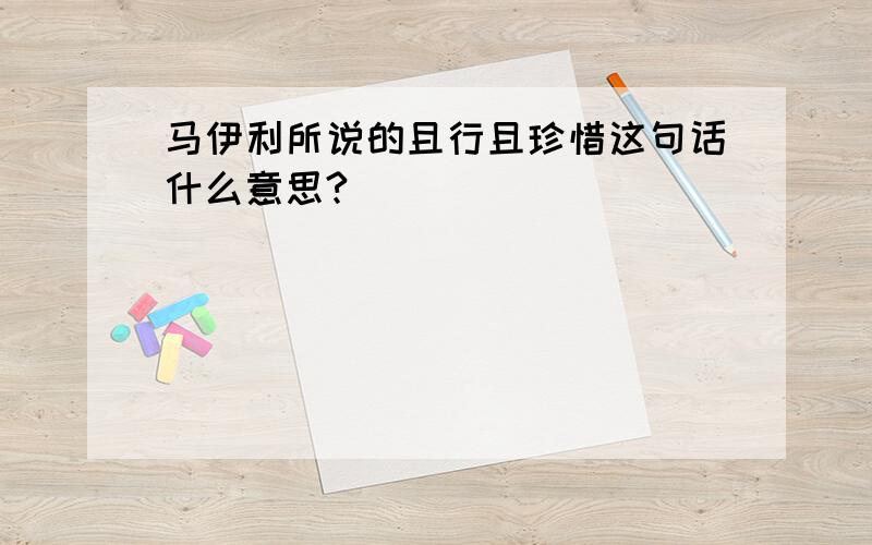 马伊利所说的且行且珍惜这句话什么意思?