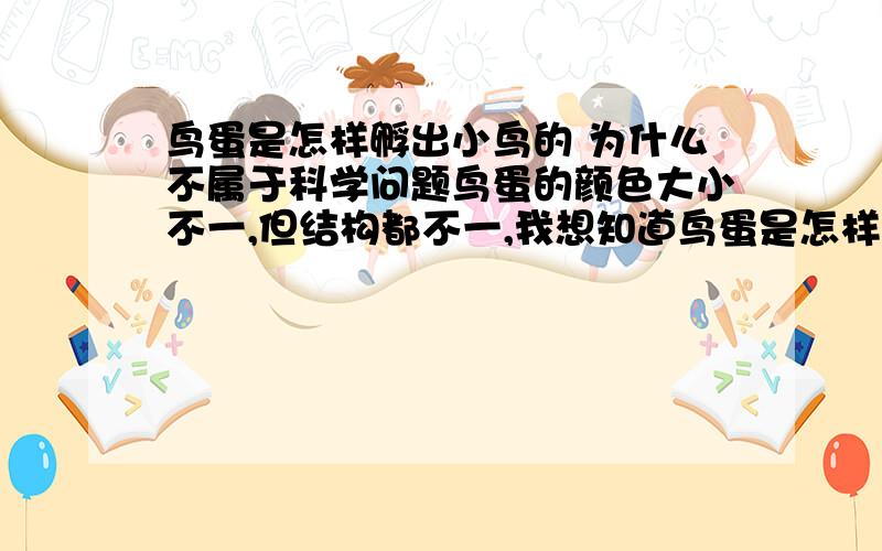 鸟蛋是怎样孵出小鸟的 为什么不属于科学问题鸟蛋的颜色大小不一,但结构都不一,我想知道鸟蛋是怎样孵出小鸟的?这个问题为什么不属于