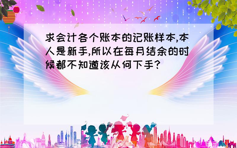 求会计各个账本的记账样本,本人是新手,所以在每月结余的时候都不知道该从何下手?