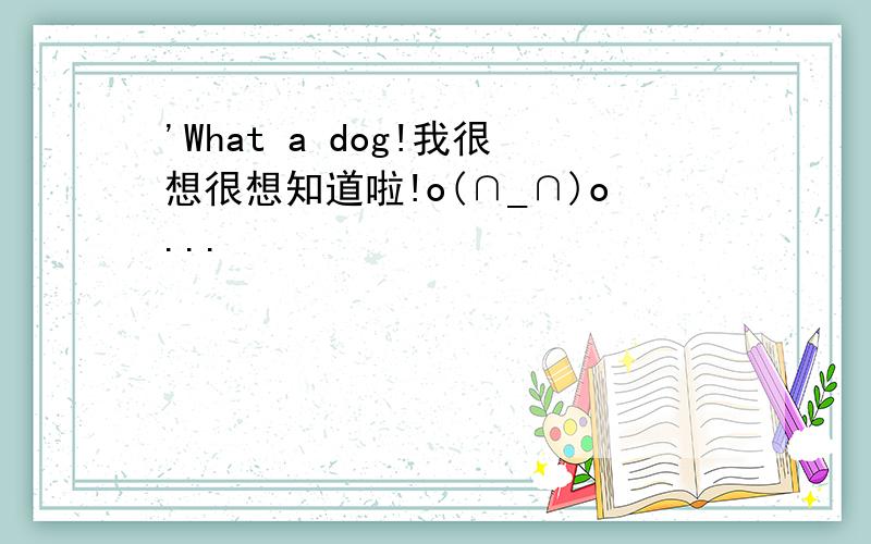 'What a dog!我很想很想知道啦!o(∩_∩)o...