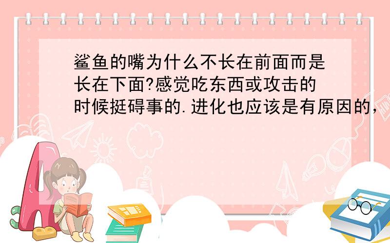 鲨鱼的嘴为什么不长在前面而是长在下面?感觉吃东西或攻击的时候挺碍事的.进化也应该是有原因的，就想知道是为什么啊？