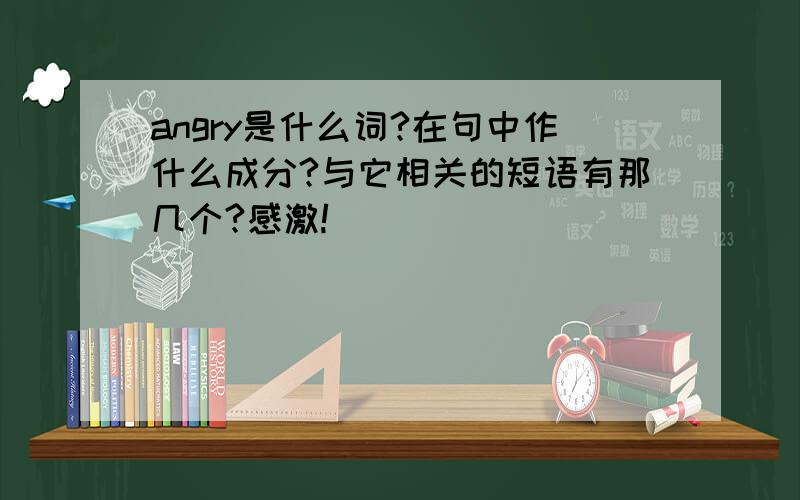 angry是什么词?在句中作什么成分?与它相关的短语有那几个?感激!