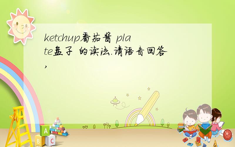 ketchup番茄酱 plate盘子 的读法.请语音回答,