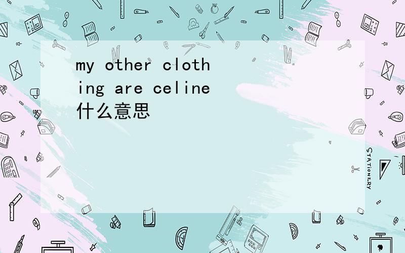 my other clothing are celine什么意思