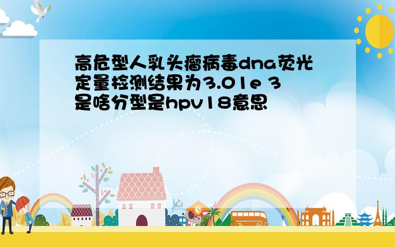 高危型人乳头瘤病毒dna荧光定量检测结果为3.01e 3是啥分型是hpv18意思