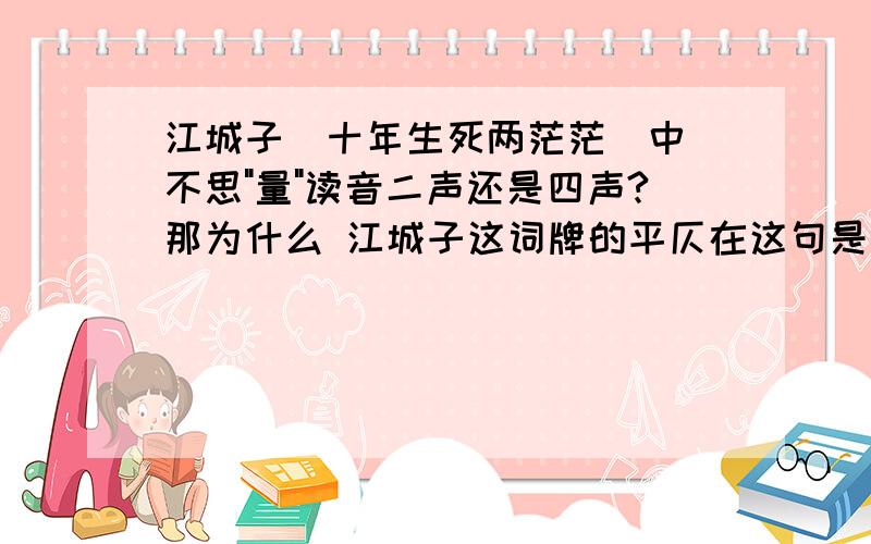 江城子(十年生死两茫茫)中 不思