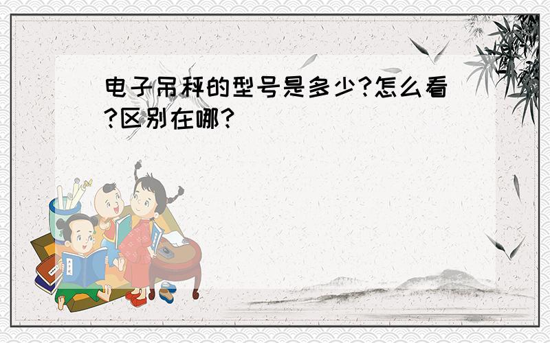 电子吊秤的型号是多少?怎么看?区别在哪?