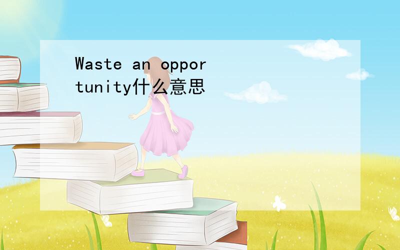 Waste an opportunity什么意思