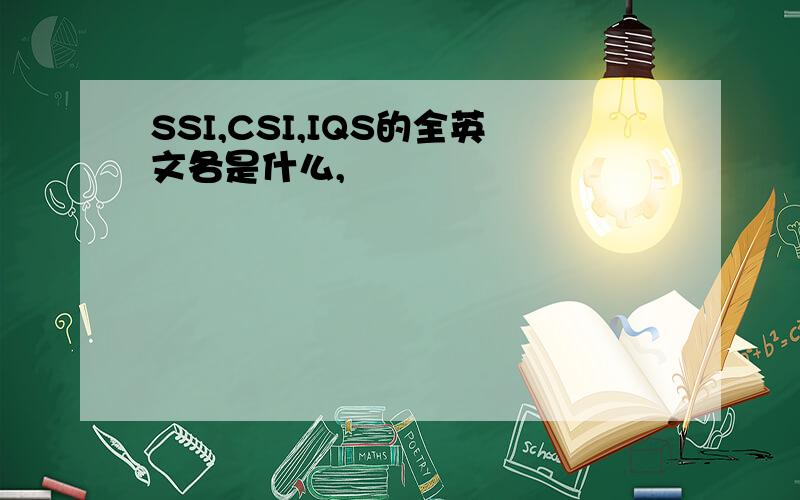 SSI,CSI,IQS的全英文各是什么,