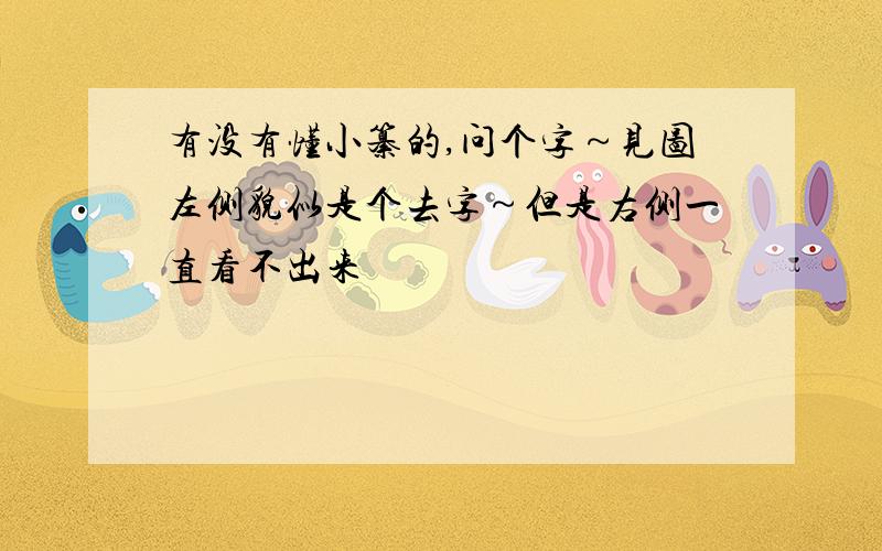 有没有懂小纂的,问个字～见图左侧貌似是个去字～但是右侧一直看不出来