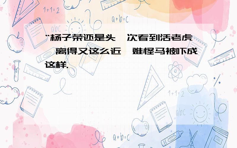 “杨子荣还是头一次看到活老虎,离得又这么近,难怪马被吓成这样.