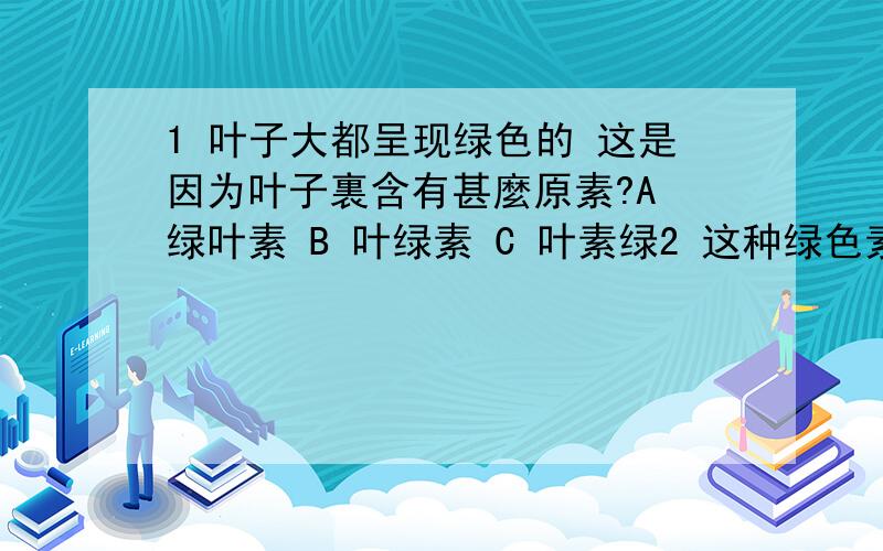 1 叶子大都呈现绿色的 这是因为叶子裏含有甚麼原素?A 绿叶素 B 叶绿素 C 叶素绿2 这种绿色素是一种怎样的原素A 容易被破坏 B 容易被植物吸收 C容易因天气而变色3 能够另枫叶变成红色 主要