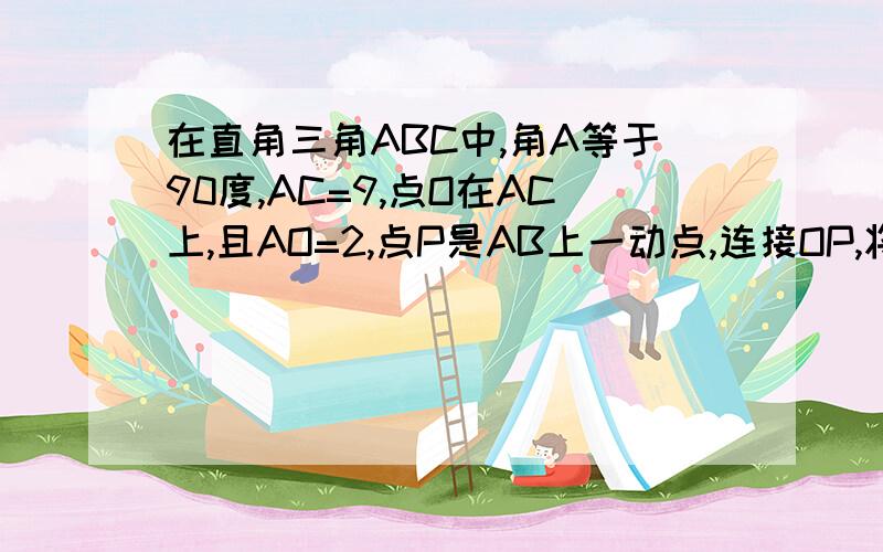 在直角三角ABC中,角A等于90度,AC=9,点O在AC上,且AO=2,点P是AB上一动点,连接OP,将线段OP绕点O逆...在直角三角ABC中,角A等于90度,AC=9,点O在AC上,且AO=2,点P是AB上一动点,连接OP,将线段OP绕点O逆时针旋转90