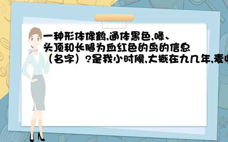 一种形体像鹤,通体黑色,喙、头顶和长腿为血红色的鸟的信息（名字）?是我小时候,大概在九几年,麦收刚刚结束时,捡麦穗时见到的,地点在陕西关中地区平原与陕北高原过渡的地方,属台原地