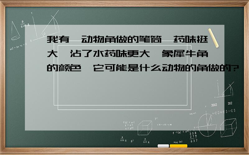 我有一动物角做的笔筒,药味挺大,沾了水药味更大,象犀牛角的颜色,它可能是什么动物的角做的?