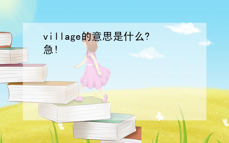 village的意思是什么?急!