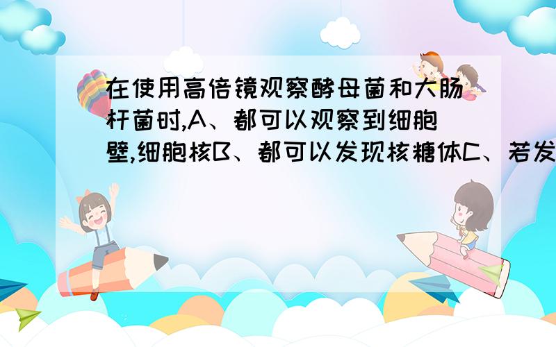 在使用高倍镜观察酵母菌和大肠杆菌时,A、都可以观察到细胞壁,细胞核B、都可以发现核糖体C、若发现视野上方较暗下方较亮,应调解反光镜D、在换用高倍镜后,只能用粗准焦螺旋A、D不用解释