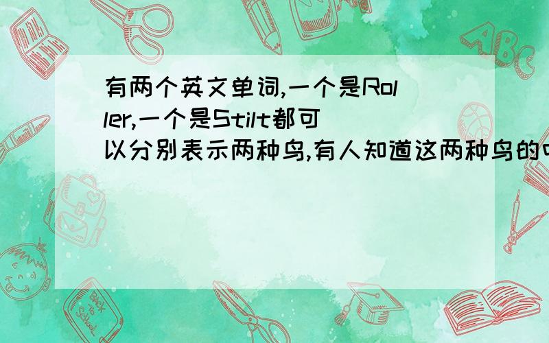 有两个英文单词,一个是Roller,一个是Stilt都可以分别表示两种鸟,有人知道这两种鸟的中文要怎么说么?