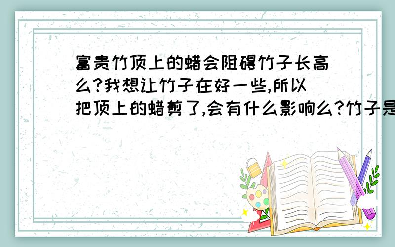 富贵竹顶上的蜡会阻碍竹子长高么?我想让竹子在好一些,所以把顶上的蜡剪了,会有什么影响么?竹子是用泥土栽培的