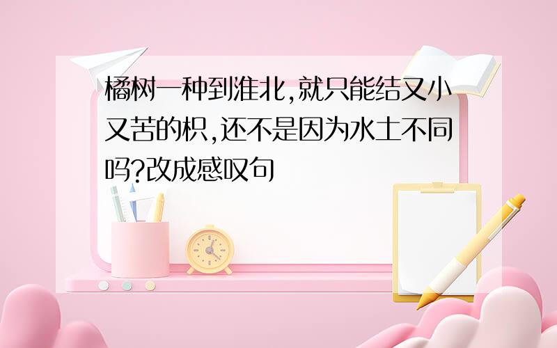 橘树一种到淮北,就只能结又小又苦的枳,还不是因为水土不同吗?改成感叹句