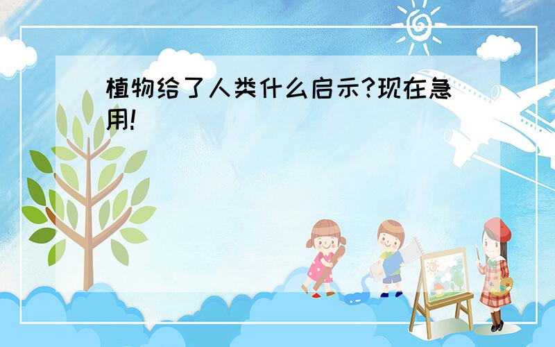 植物给了人类什么启示?现在急用!