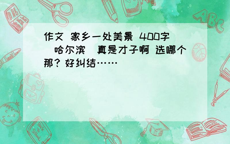 作文 家乡一处美景 400字（哈尔滨）真是才子啊 选哪个那？好纠结……