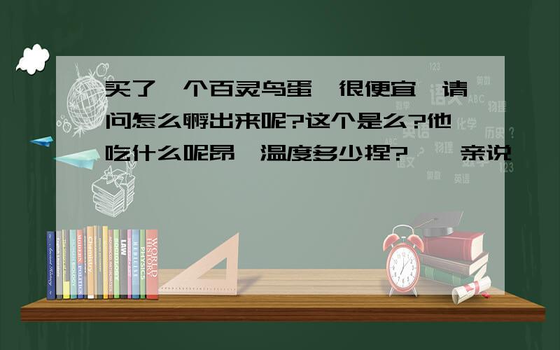 买了一个百灵鸟蛋,很便宜,请问怎么孵出来呢?这个是么?他吃什么呢昂,温度多少捏?谮谮亲说