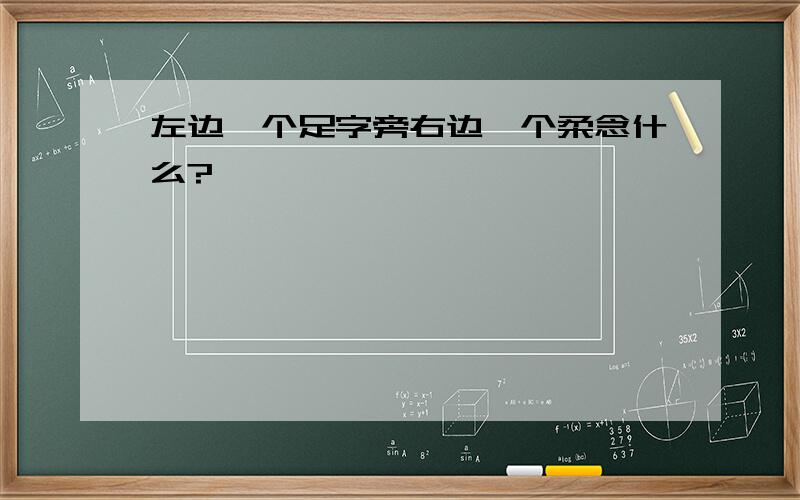 左边一个足字旁右边一个柔念什么?