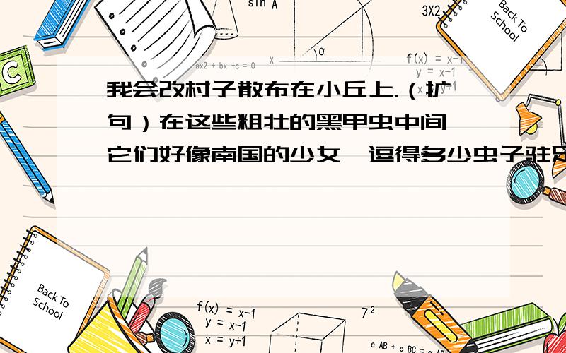 我会改村子散布在小丘上.（扩句）在这些粗壮的黑甲虫中间,它们好像南国的少女,逗得多少虫子驻足痴望.（仿写比喻句）p7页阅读书屋的第2题,画比喻句的,再仿写一个