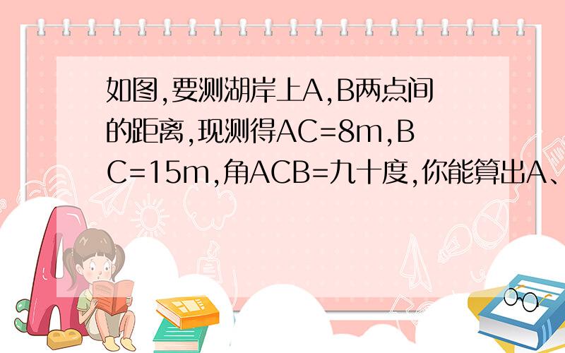 如图,要测湖岸上A,B两点间的距离,现测得AC=8m,BC=15m,角ACB=九十度,你能算出A、B两点的距离吗