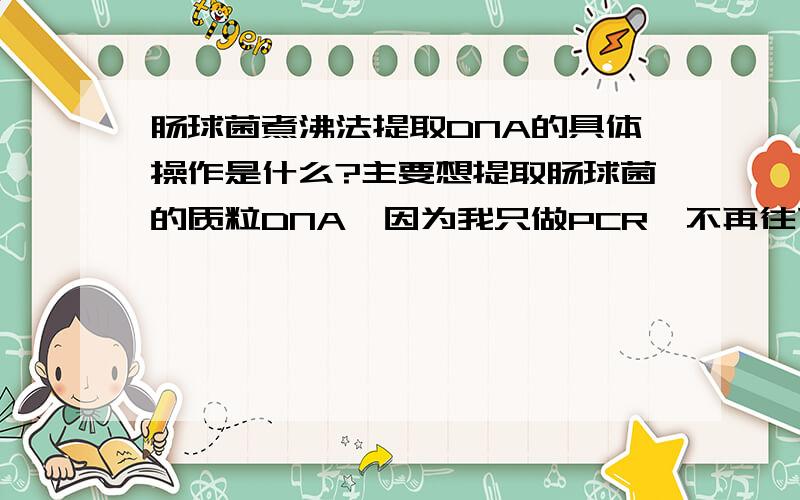 肠球菌煮沸法提取DNA的具体操作是什么?主要想提取肠球菌的质粒DNA,因为我只做PCR,不再往下进行更细的实验,听人说就不需要再进行质粒DNA的分离和纯化了,只要煮沸取上清（质粒DNA和染色体DN