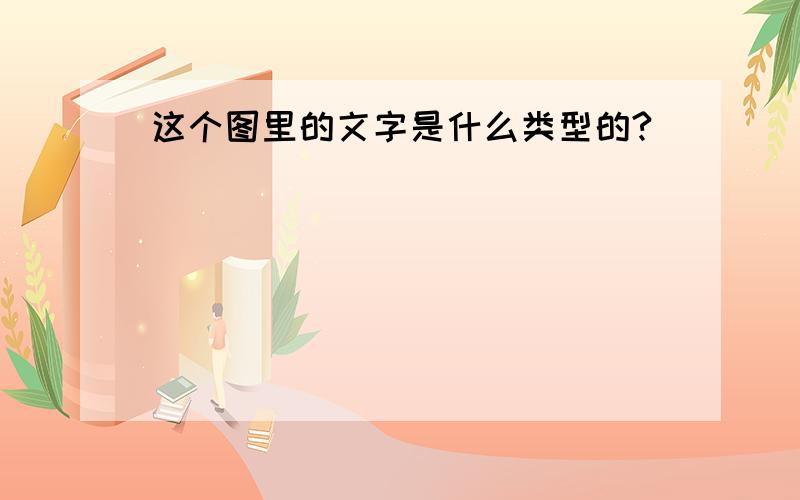 这个图里的文字是什么类型的?