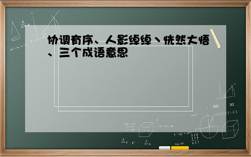 协调有序、人影绰绰丶恍然大悟、三个成语意思