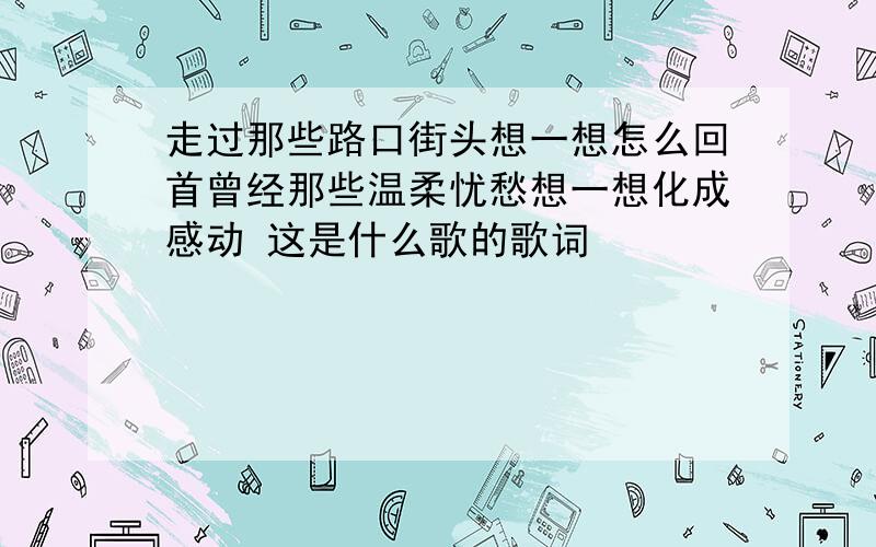 走过那些路口街头想一想怎么回首曾经那些温柔忧愁想一想化成感动 这是什么歌的歌词