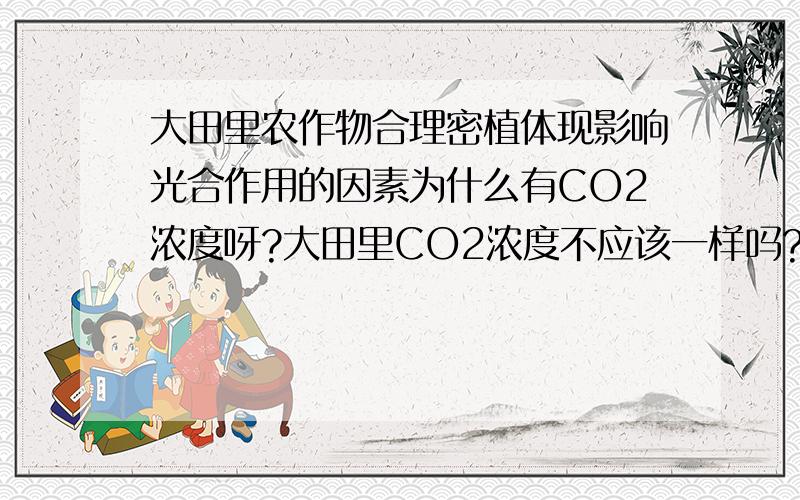 大田里农作物合理密植体现影响光合作用的因素为什么有CO2浓度呀?大田里CO2浓度不应该一样吗?大田里农作物合理密植体现影响光合作用的因素为什么有CO2浓度呀?大田里CO2浓度不应该一样吗?