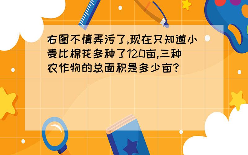 右图不慎弄污了,现在只知道小麦比棉花多种了120亩,三种农作物的总面积是多少亩?