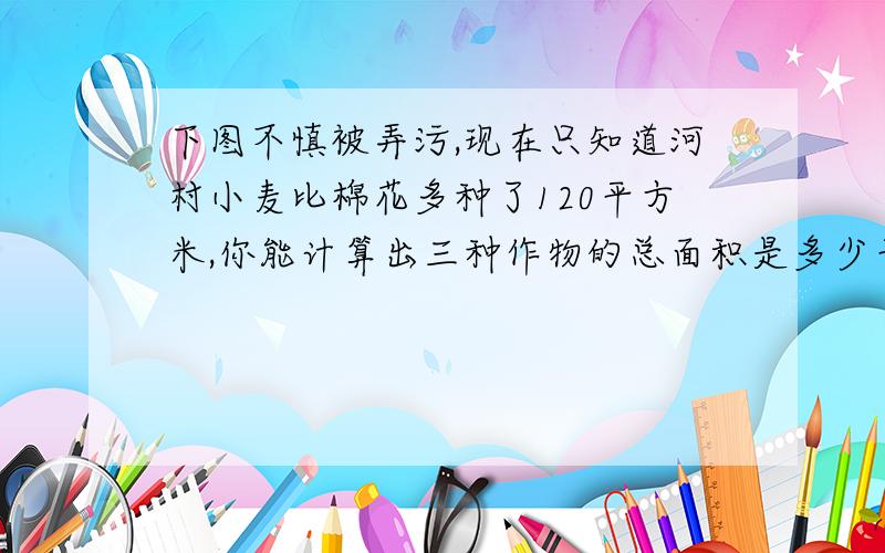 下图不慎被弄污,现在只知道河村小麦比棉花多种了120平方米,你能计算出三种作物的总面积是多少平方米吗?小麦占30%.水稻占52%、棉花?