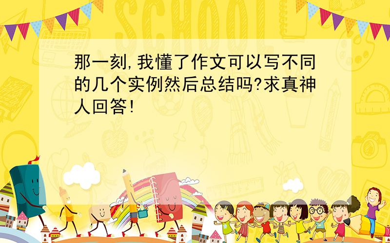 那一刻,我懂了作文可以写不同的几个实例然后总结吗?求真神人回答!