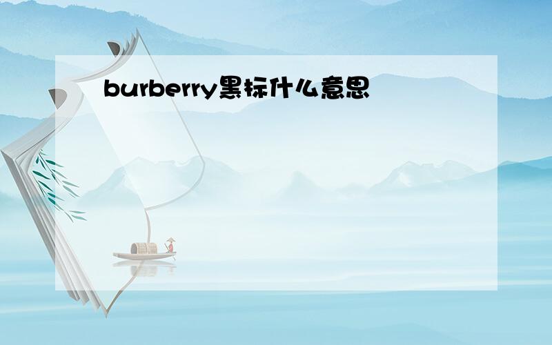 burberry黑标什么意思