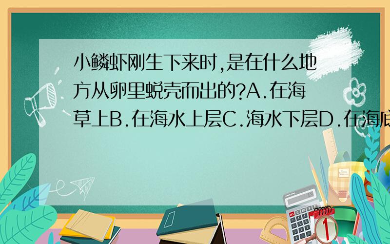 小鳞虾刚生下来时,是在什么地方从卵里蜕壳而出的?A.在海草上B.在海水上层C.海水下层D.在海底