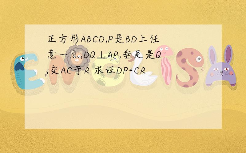 正方形ABCD,P是BD上任意一点,DQ⊥AP,垂足是Q,交AC于R 求证DP=CR