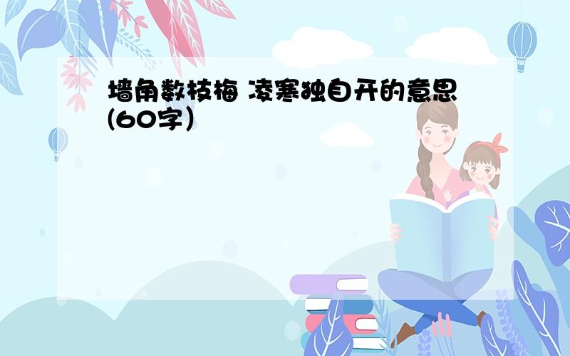 墙角数枝梅 凌寒独自开的意思(60字）