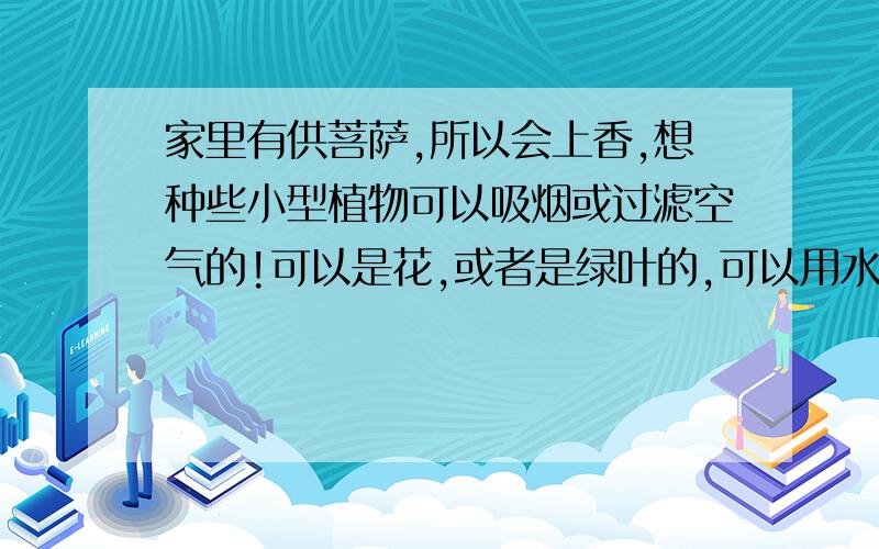 家里有供菩萨,所以会上香,想种些小型植物可以吸烟或过滤空气的!可以是花,或者是绿叶的,可以用水养的最好（用花泥的也好）