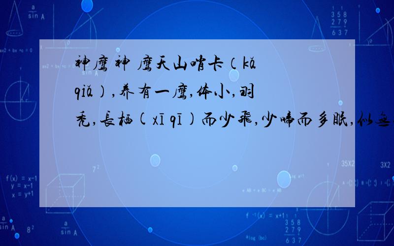 神鹰 神 鹰天山哨卡（kǎ qiǎ）,养有一鹰,体小,羽秃,长栖(xī qī)而少飞,少啼而多眠,似无搏击云天之志.这年冬天,雪下得奇怪,刚过十月就铺天盖地地压下来,下得无休无止不慌不忙而又不屈不