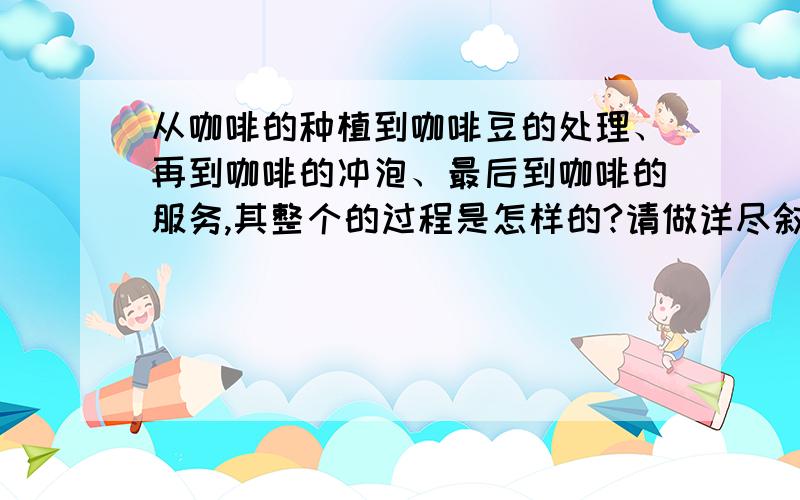 从咖啡的种植到咖啡豆的处理、再到咖啡的冲泡、最后到咖啡的服务,其整个的过程是怎样的?请做详尽叙述.