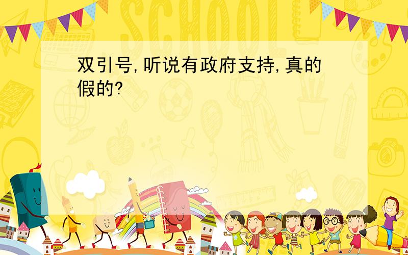 双引号,听说有政府支持,真的假的?