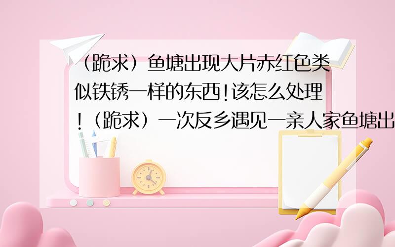 （跪求）鱼塘出现大片赤红色类似铁锈一样的东西!该怎么处理!（跪求）一次反乡遇见一亲人家鱼塘出现大片赤红色类似铁锈一样的东西!听说可能会影响鱼儿生长?所以想有这方面知识的能人