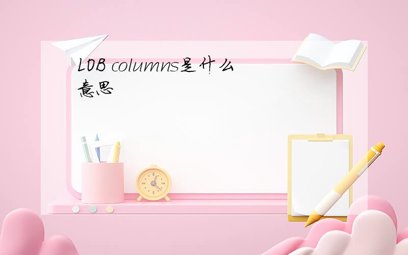 LOB columns是什么意思